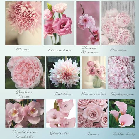 De'Ondra Turner Events on Instagram: “What is your favorite flower?!#peonies#bouquets” White Flowers Names, Flower Encyclopedia, Flower Charts, Pink Flower Names, Flower List, Wedding Flower Types, Pink Flower Arrangements, White And Pink Flowers, Floral Design Classes