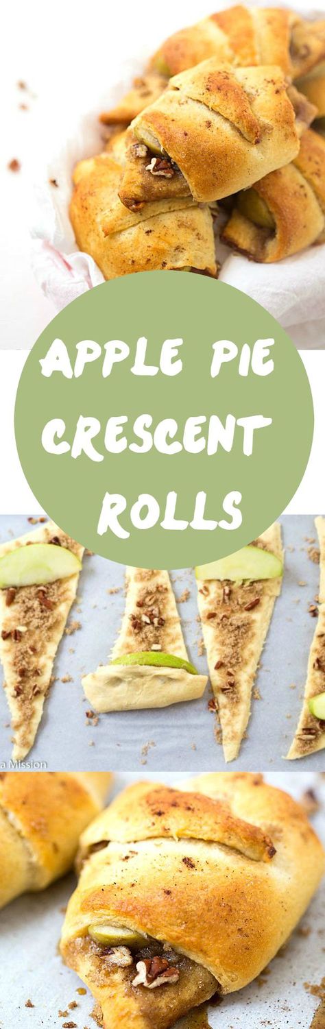 Apple Pie Crescent Roll Recipe - Layered with brown sugar, pecans, apple slices, and apple pie spice! This filling is better and quicker than any apple pie filling! Add these to your crescent roll recipes stash! Pinning! Crescent Roll Apple Pie, Apple Crescent, Apple Crescent Rolls, Apple Pie Crescents, Brown Sugar Pecans, Crescent Roll Recipe, Crescent Roll Dessert, Sugar Pecans, Apple Pie Bites