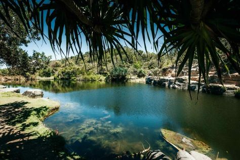 25 Best Things To Do In Yamba NSW 2024 Guide Yamba Australia, Yamba Nsw, Pacific Highway, Sunrise Yoga, Green Pool, Rock Pools, Coastal Towns, Day Hike, Beach Town