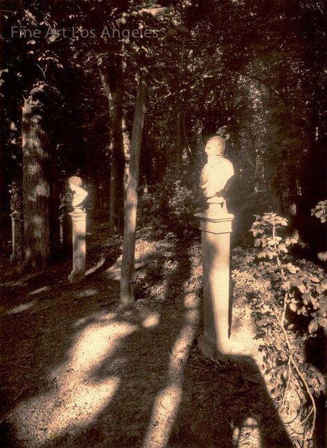 Park Pathway, Light And Shadow Photography, Eadweard Muybridge, Eugene Atget, Stage Designer, Berenice Abbott, Not Well, Collections Photography, Shadow Photography