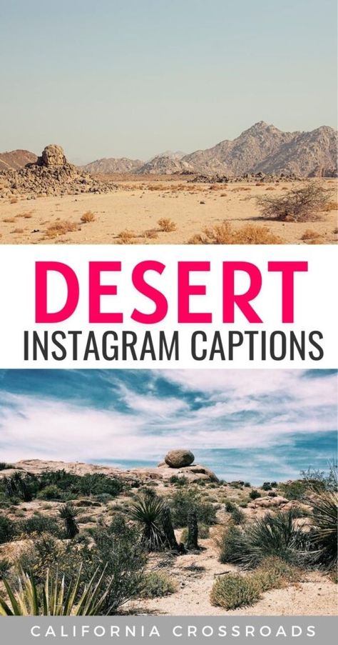 150 Inspiring, Beautiful & Funny Desert Quotes Arizona Instagram Captions, Desert Sayings, Desert Quotes Instagram, Desert Captions For Instagram, Oasis Quotes, Desert Quotes, Desert Words, Arizona Quotes, Desert Quote