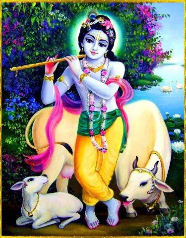 Gopala Krishna Vasudeva Krishna, Gopala Krishna, Krishna Bhakti, Krishna Das, Iskcon Krishna, Krishna Avatar, Krishna Hindu, Krishna Krishna, Krishna Drawing