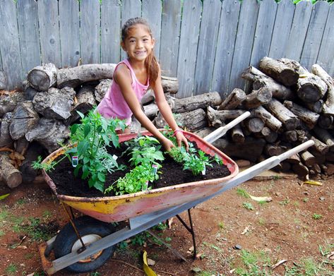 Easy and compact herb garden - it can even be done by an ambitious apartment-dweller with a balcony! Square Foot Gardening, Plant Ideas, Yard Work, Mason Jar Wine Glass, Raised Garden, Herb Garden, Garden Projects, Green Thumb, Vegetable Garden