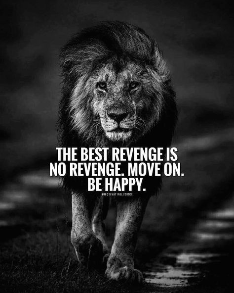 Move On Quotes For Men, Quotes For Men, Best Revenge, Leo Quotes, Move On Quotes, Lion Quotes, Good Quotes, The Best Revenge, Warrior Quotes