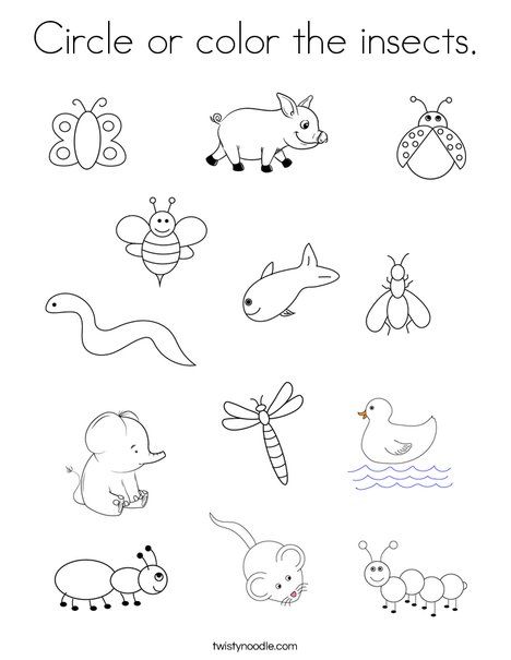 Insect Activity For Preschool, Bugs And Insects Preschool Worksheets, Activities About Insects For Preschool, Insects Worksheets For Kindergarten, Insect Worksheets Kindergarten, Bugs Worksheets Preschool, Bug Worksheets Preschool Free Printable, Insects Worksheets Preschool, Insect Worksheets Preschool