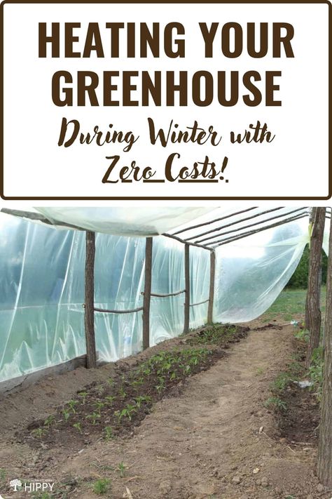 Greenhouses sometimes need extra heat in the wintertime. Learn how to do it for almost free with these ingenious ideas. #garden #greenhouse Geothermal Greenhouse Diy, Greenhouse Insulation Ideas, Heated Greenhouse Diy, Heating A Greenhouse In Winter, Green House For Winter Cold Weather, Homestead Rescue Greenhouse, How To Insulate A Greenhouse, Greenhouse Hangout Ideas, Green House Heating Ideas