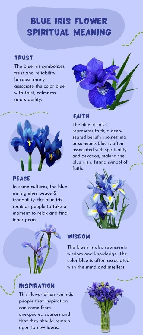 Blue Lotus Herb Benefits, Blue Lotus Flower Magical Properties, Blue Lotus Spiritual Meaning, Blue Bell Flowers Meaning, Blue Periwinkle Flower, Blue Orchid Flower, Blue Dahlia, Blue Lotus Flower, Blue Lotus