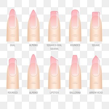 Different Shaped Nails, Nail Art Color, Nails Paint, Shape Png, Nail Pink, Paint Nails, Beauty Professional, Fashion French, Different Nail Shapes