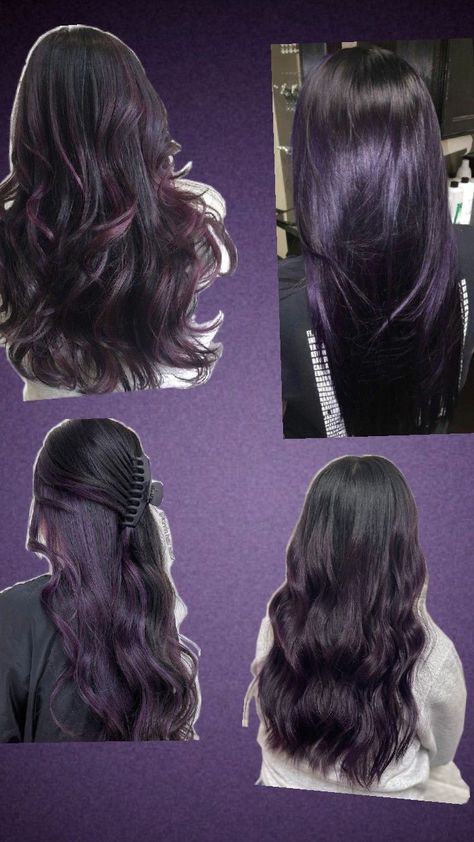 purple hair ideas Subtle Dark Purple Hair, Dark Brown Hair Purple Tint, Purple Hair Inspo Color, Dark Purple Hair With Highlights, Under Hair Dye Purple, Purple Undertone Hair, Black Hair With Purple Ends, Dye Ideas For Black Hair, Dark Purple Peekaboo Hair