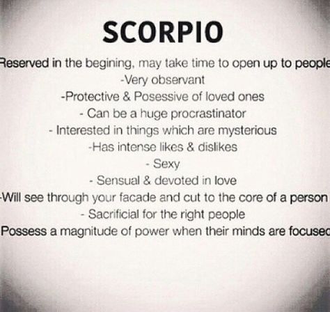 Astrology Signs Scorpio, Scorpio Queen, Scorpio Zodiac Facts, Scorpio Quotes, Libra Love, Likes And Dislikes, Scorpio Zodiac, Book Worm, Star Sign