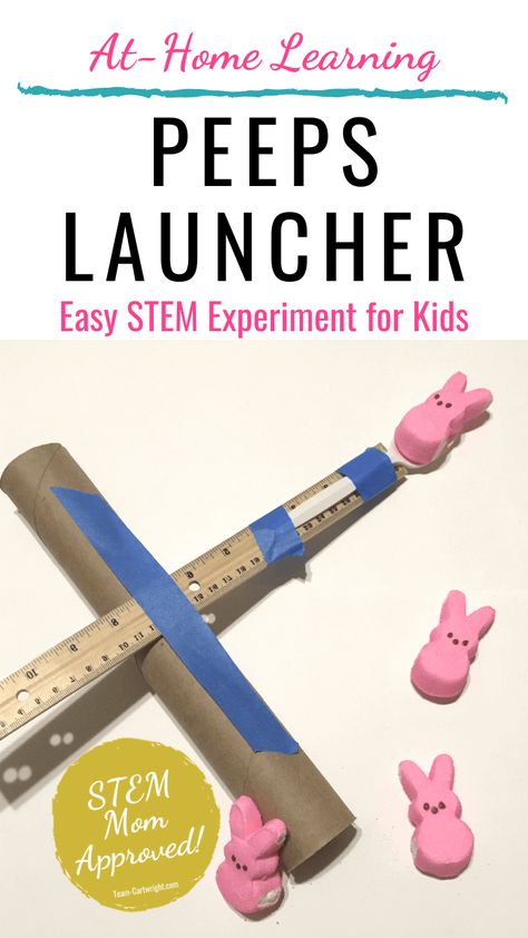 Easter Stem Challenge, Easter Stem Activities, Easter Stem, Easter Science, Homeschool Stem, Stem Experiments, Preschool Stem, Physics Experiments, Simple Machine