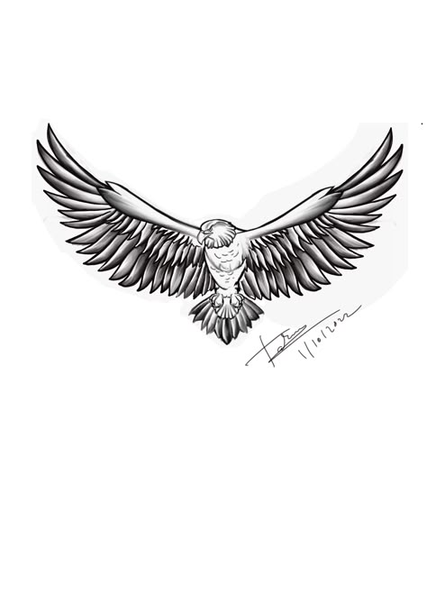 Falken Tattoo, Eagle Tattoo Stencil, Falcon Tattoo Design, Falcon Sketch, Eagle Back Tattoo, Eagle Wing Tattoos, Falcon Tattoo, Chest Tattoo Ideas, Tattoo Design For Hand