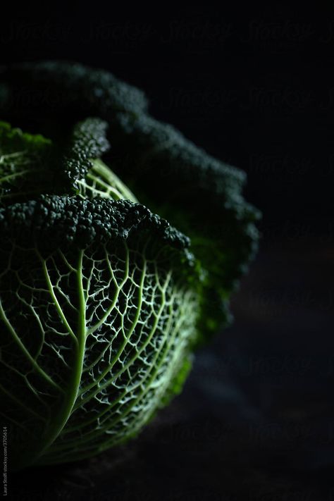 Food On Black Background, Food Dark Aesthetic, Cabbage Photography, Veggie Photography, Chiaroscuro Photography, Thai Food Photography, Botanical Images, Dutch Still Life, Dark Food Photography