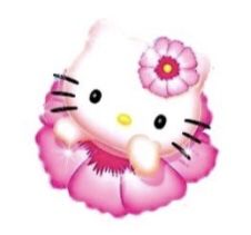 Hello Kitty Summer, Png Icons, Made By Me, Hawaii, Hello Kitty, Kitty, Pink