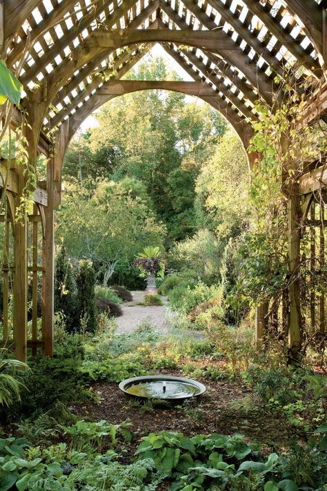 The Shade Garden Lath House, Rustic Gate, Low Maintenance Landscaping Front Yard, Lakeside Garden, Orchid House, Boxwood Garden, Triangle Area, Fall Garden Vegetables, Cottage Garden Design