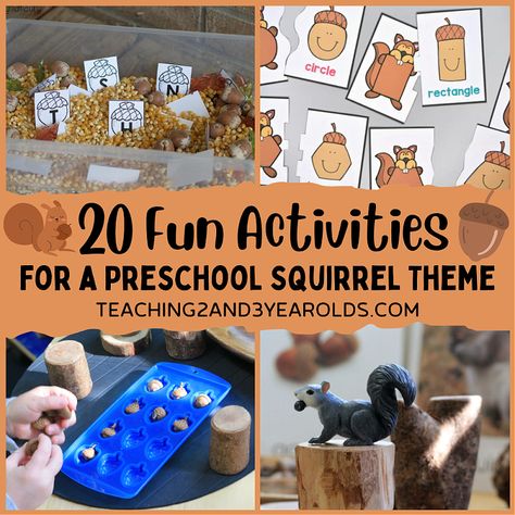 Squirrels Busy Day Activities, Squirrel Gross Motor Activities, The Very Busy Squirrel Activities, Squirrel Activities For Kindergarten, Woodland Animal Activities For Preschool, Preschool Squirrel Activities, Squirrel Theme Preschool, Squirrels And Acorns Preschool, Squirrel Activities For Toddlers