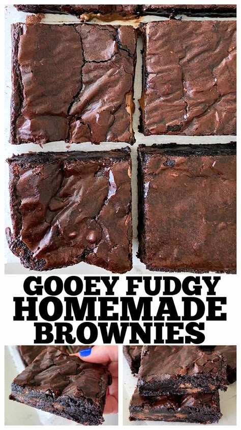 Fudgy Homemade Brownies, Chewy Brownies Recipe, Chocolate Chunk Brownies, Homemade Brownies Easy, Brownie Desserts Recipes, Homemade Chocolate Frosting, Picky Palate, Fudgy Brownie Recipe, Brownies Recipe Homemade