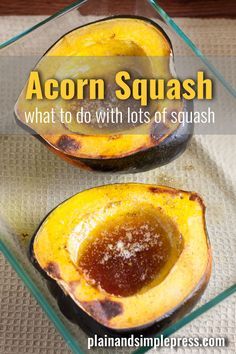 What to Do with LOTS of Squash? Make convenience food Acorn Squash Baked, Lemon Dill Chicken, Acorn Squash Recipe, Homemade Fajita Seasoning, Homemade Flour Tortillas, Acorn Squash Recipes, Lime Cheesecake, Squash Recipe, Oven Roasted Chicken