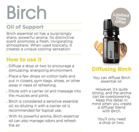 Birch Essential Oil, American Folklore, Doterra Oils Recipes, Fall Diffuser Blends, Distillation Process, Tree Stands, Bow And Arrow, Doterra Oils, Birch Trees