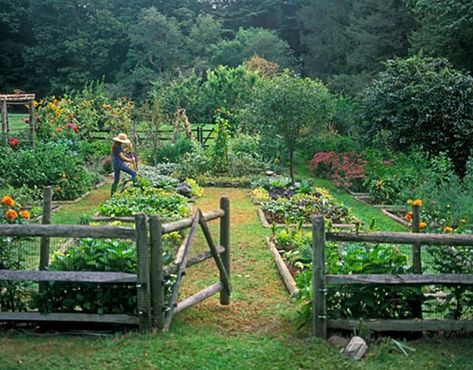 Garden Layouts, Cottage Flowers, Lots Of Plants, Garden Layout Vegetable, Potager Garden, Backyard Vegetable Gardens, Cottage Garden Design, Permaculture Design, Garden Types