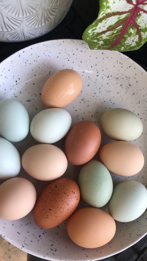 Chicken Eggs Aesthetic, Egg Aesthetic, Eggs Aesthetic, Culinary Basics, Fairy Food, Food Education, Colorful Baskets, Farm Eggs, Organic Eggs