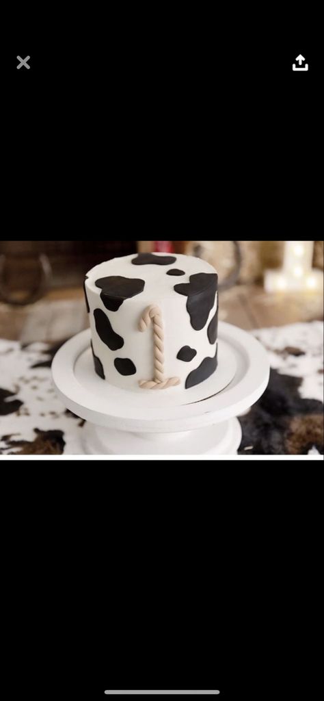 Smash Cake Cowboy Theme, First Rodeo Birthday Smash Cake, My First Rodeo Birthday Boy Cake Smash, Rodeo Theme Smash Cake, Western 1st Birthday Cake, Rodeo First Birthday Party Food, First Rodeo Birthday Cake Boy, First Rodeo Smash Cake Boy, Holy Cow I’m One Cake Ideas