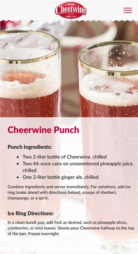 Cheerwine Punch, Cheerwine Recipes, Fruit Punch Recipe, Halloween Finger, Halloween Finger Foods, Christmas Drinks Recipes, Pineapple Chicken Recipes, Baby Shower Sweets, Christmas Punch Recipes