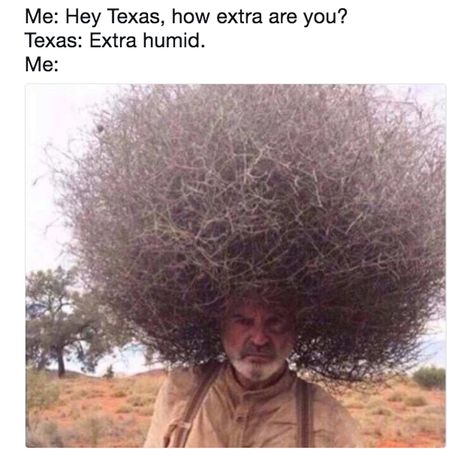 Try as you might, the dreaded humidity will come ruin all your styling efforts. Argentina Memes, Hair Jokes, Curly Hair Problems, Sarcasm Only, Hair Problems, Hair Humor, Hair Today, Dankest Memes, Curly Hair