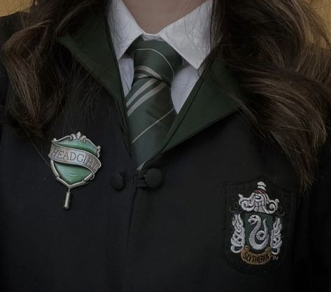 Slytherin Uniform Female, Slytherin Uniform, Slytherin Outfit, Slytherin Wallpaper, Slytherin Fashion, Hogwarts Uniform, Hogwarts Outfits, Harry Potter Oc, Slytherin Pride