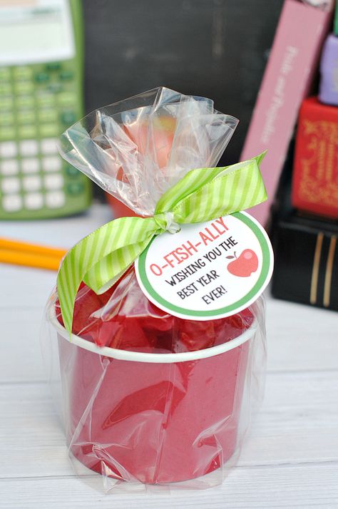 Cute Apple Teacher Gift Idea Apple Gift Ideas, Fruit Snack Back To School Gift, Caramel Apple Teacher Gift, Apple Themed Teacher Appreciation Gifts, Back To School Teacher Gift Tags, Apple Theme Teacher Gift, Apple Teacher Gifts, Back To School Gifts For Teachers, Teacher Treats