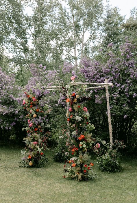 Colorful decorated chuppah set in front of lavender flower wall at the Wheeler/Stallard Museum for a summer wedding in Aspen. Photographed by Haley Hawn, a documentary and editorial styled wedding photographer in Aspen, CO. Lavender Flower Wall, Aspen Wedding, Stunning Wedding Venues, Wedding Venue Decorations, Fun Photoshoot, Lavender Flower, Destination Wedding Locations, Venue Decor, Wedding Weekend