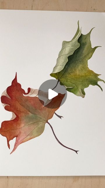 Watercolor Autumn Leaves, Free Painting, Water Color Pencil, Watercolor Video, Watercolor Tips, Autumn Inspired, Fall Watercolor, Watercolor Painting Techniques, Watercolor Art Lessons