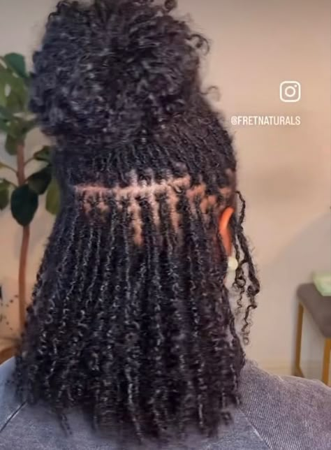 Mirco Locs Hairstyles For Women, Mini Locs Black Women, Medium Sisterlocks, Sister Locs Dyed, Different Type Of Locs For Women, Microlocs Black Women, Small Medium Locs Black Women, Mirco Locs Hairstyles, Lox Hairstyles