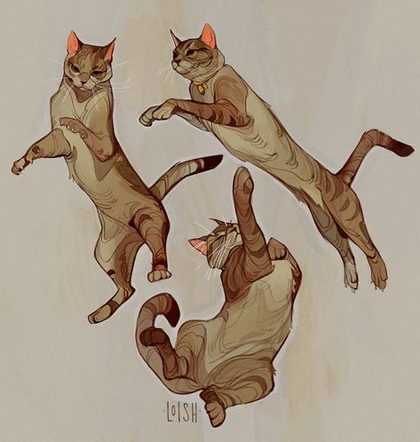 Patreon Drawing, Warrior Cats Fan Art, Cat Reference, Cat Sketch, Cat Hacks, Warrior Cats Art, Canine Art, Cat Pose, Cat Character