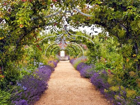 English Garden Ideas, Lawn Borders, English Garden Style, English Garden Design, Garden Flower Beds, English Gardens, British Garden, Formal Garden, English Cottage Garden