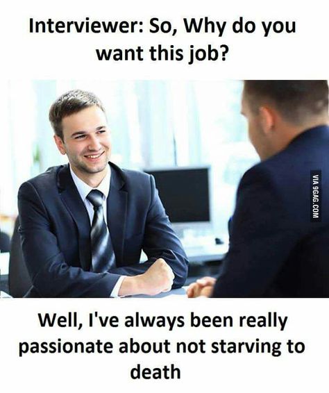 When honesty is mentioned as one of your strengths in Resume. Job Interview Funny, Cold Humor, Fat Humor, Funny Jobs, Blonde Jokes, Job Humor, Just Funny, Job Interview Questions, College Humor