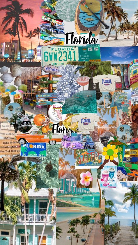 Florida 🥥 Moving To Florida Aesthetic, Florida Mood Board, Miami Vision Board, Florida Vision Board, Florida Living Aesthetic, Ft Lauderdale Florida Things To Do, Florida Wallpaper Iphone, Florida Collage, Orlando Florida Aesthetic