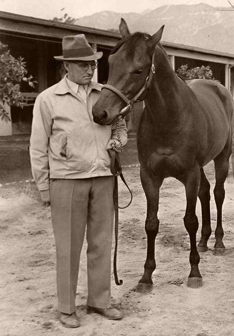 A Look Back At Seabiscuit’s Final Race Thomas Smith, Famous Horses, Thoroughbred Horse Racing, Race Horse, Sport Of Kings, Race Horses, Thoroughbred Horse, All The Pretty Horses, Horse Crazy