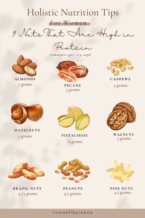 Did you know that you can get your protein in each meal from nuts? That is if you don't have a nut allergy but nuts contain a great amount of protein to support your health and nutritional goals. Here are nine nature's best nuts that contain protein. holistic health and wellness tips * holistic health * holistic nutrition * wellness tips * diet and nutrition #holistichealth #holisticnutrition #holisticwellness #holistichealing #healthandwellnesstips Holistic Nutrition Meal Plan, Holistic Health Poster, Nutrients Your Body Needs, Holistic Nutrition Recipes, Nuts Nutrition Facts, Holistic Nutrition Books, Immune Boosting Foods, Holistic Diet, Holistic Lifestyle