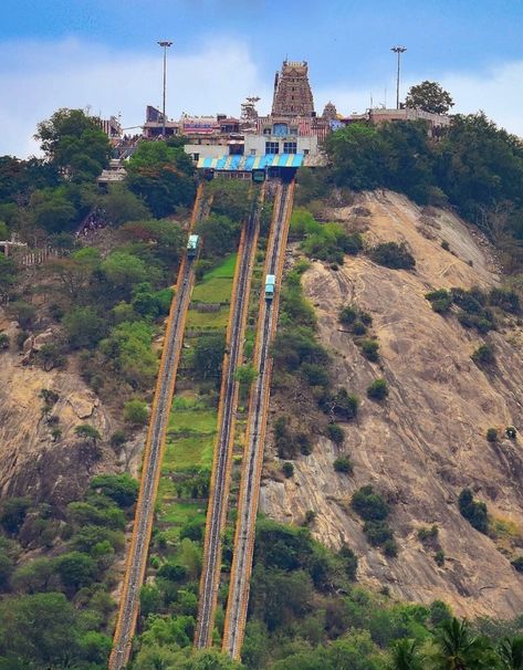 Palani Murugan Temple, Palani Murugan, Murugan Temple, Marriage Photo Album, Thailand Nature, Buddha God, Gym Wallpaper, Kodaikanal, Temple Photography