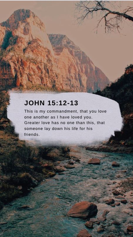 John 15:12-13, John 15 12, Love One Another, Bible Quotes, First Love, Bible, Love You, Quotes, Movie Posters