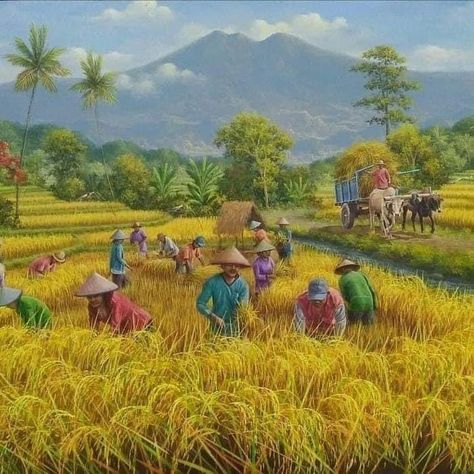 Rice Field, Oil Painting, Rice, Nature