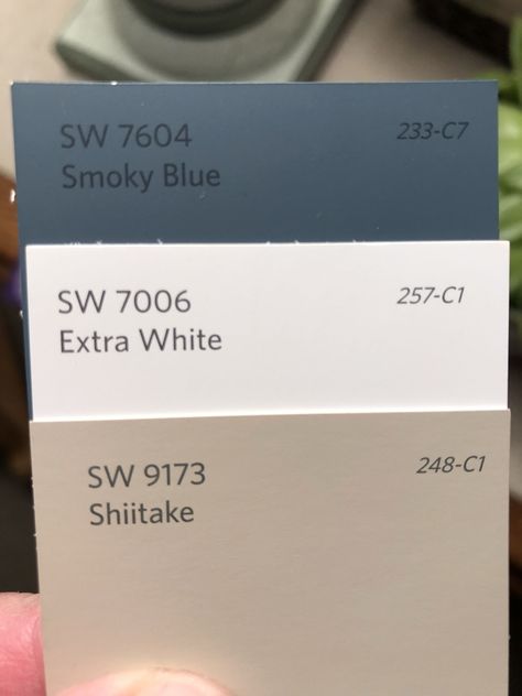 Accent Color For Beige Walls, Outdoor Colours For Houses, Bm Pale Oak, Exterior Home Renovation, Navy Color Palette, Pale Oak, Exterior House Renovation, Interior Paint Colors Schemes, Paint Color Schemes