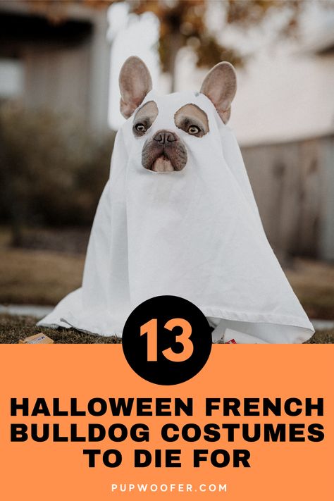 13 Silly French Bulldog Costumes | Get ready this halloween with the cutest french bulldog costumes to spice up any halloween party and keep you and your guests entertained for hours with these cute costumes. #Frenchbulldogcostumes #frenchbulldogcostumeshalloween #cutefrenchbulldoghalloweencostumes Halloween Costumes For French Bulldogs, Frenchie Halloween Costumes, Frenchie Outfits, Frenchie Costume, French Bulldog Pumpkin, French Bulldog Outfits, Bulldog Costumes, Bulldog Nails, French Bulldog Halloween Costumes