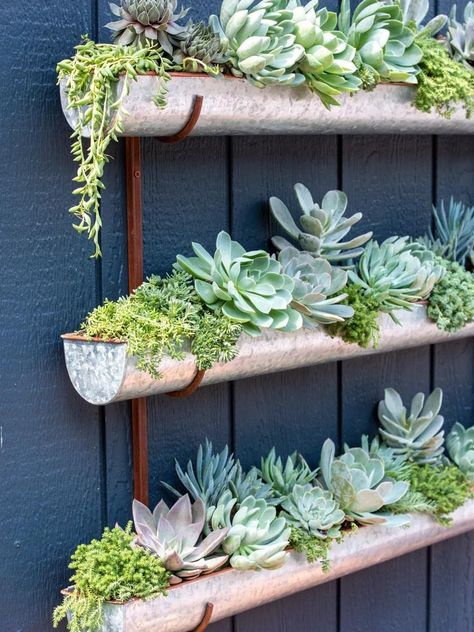 Diy Garden Wall Decor, Succulent Wall Garden, Pot Gantung, Vertical Garden Planters, Trailing Flowers, Wall Planters Indoor, Tiered Planter, Vertical Wall Planters, Succulent Garden Design