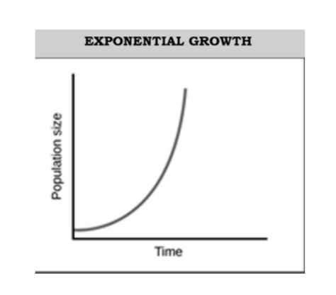 Growth Graph, 2025 Hair, Exponential Growth, Line Chart, Science, Hair, Quick Saves