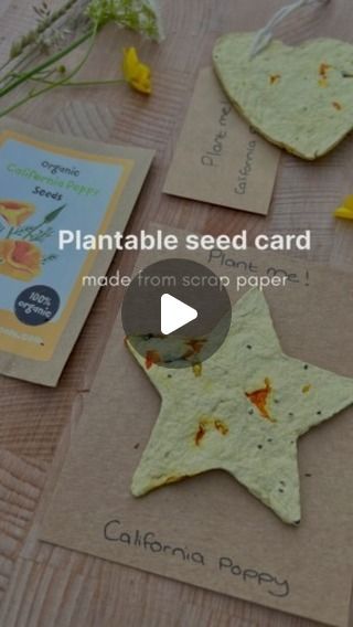 Seed Cards Plantable Diy, Plantable Paper Diy, Paper Seed Cards, Seed Crafts For Kids, Botanical Crafts, Seed Paper Diy, Handmaid Gifts, Seed Cards, Seed Craft