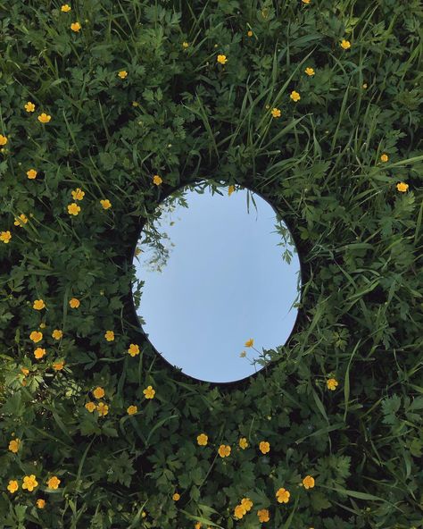 Everything’s connected 🌱 . . . #mirror #mirrored #nature #naturephotograpy #joy #grass #inthegrass #bluesky #mirrorphotography #getcreative #mirrorimage #tükör #oglinda #oglindă #specchio #yellowflowers #mirrorinthegrass #green Mirror Sky Photography, Mirror On Ground, Mirror In Nature, Mirror In Forest, Mirror Gazing, Vivienne Sabo, Mirror Aesthetic, Post Insta, Art Foundation