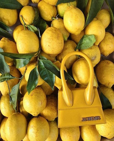 Lemons with a Jacquemus bag Photography Bags, Jacquemus Bag, Paris Cafe, New Paris, Yellow Aesthetic, Yellow Fashion, Mellow Yellow, Gucci Bags, Instagram Foto