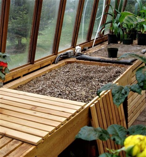 Greenhouse Benches, Potting Bench Plans, Garden Shed Interiors, Wood Benches, Orchid House, Apartment Vibes, Chicago Apartment, Greenhouse Ideas, Green Houses